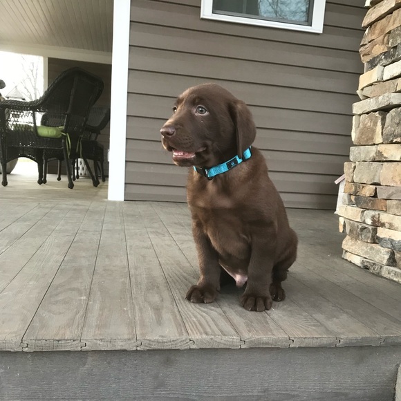 Meet your Posher, Brian - Picture 1 of 1